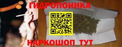 PSILOCYBIN Краснодар
