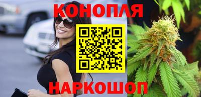 стафф Краснознаменск