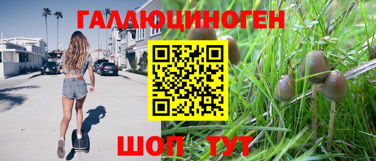 Псилоцибиновые грибы ЛСД Шахты
